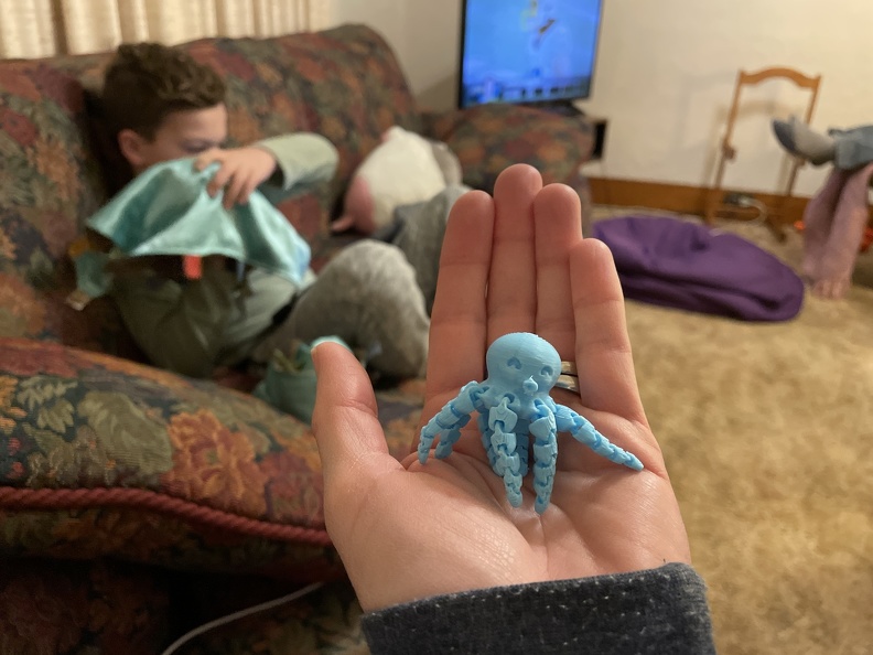 3D Printed Octopus.JPG